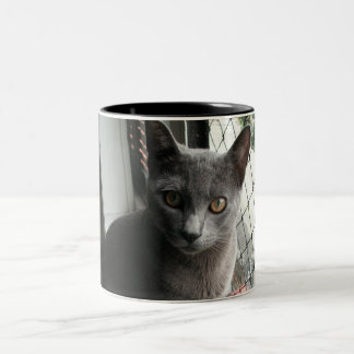 Blue kitty mug