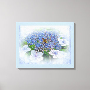 Blue Lace Cap Hydrangea Flowers Canvas Print