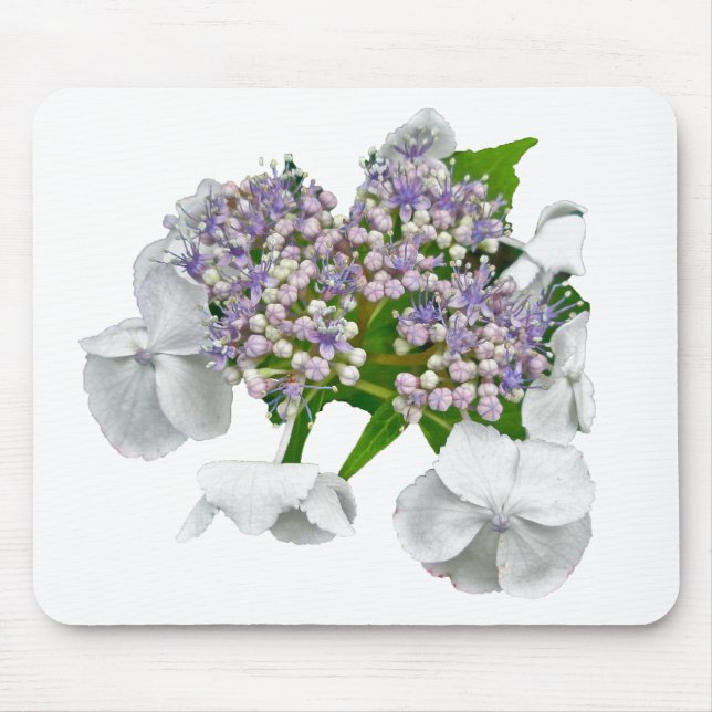 Blue Lace Hydrangea Coordinating Items Mouse Mat (Front)