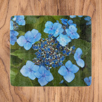Blue Lacecap Hydrangea Floral