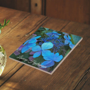 Blue Lacecap Hydrangea Floral Tile