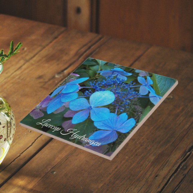 Blue Lacecap Hydrangea Floral Tile (In Situ)