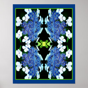 Blue Lacecap Hydrangea Flower Close Up Abstract Poster