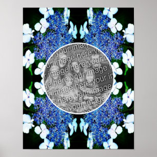 Blue Lacecap Hydrangea Flower Frame Add Your Photo Poster