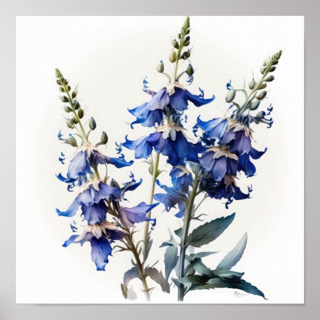 Blue Larkspur Flower Art Print Poster (Front)