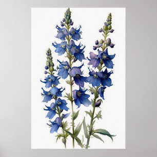 Blue Larkspur Flower Art Print Poster
