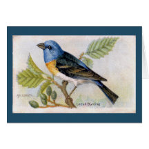 Blue Lazuli Bunting Bird Thank You Card