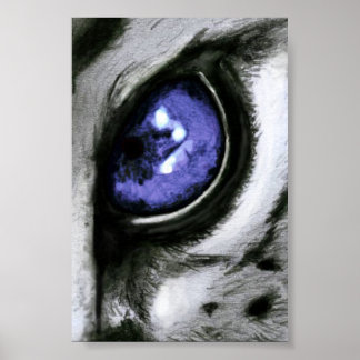 Blue Leopard Eye Poster