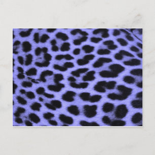 Blue Leopard print background Postcard