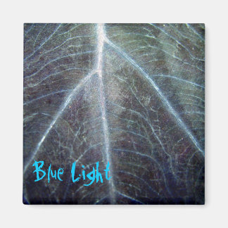 Blue Light Magnet