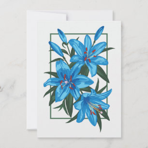 Blue Lilies. Flower illustration Announcement