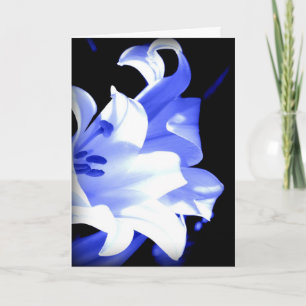 Blue lily Birthday card