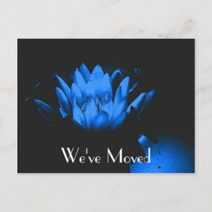 Blue Lily New Address Floral Postcard
