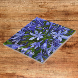 Blue Lily of the Nile Agapanthus Floral Tile