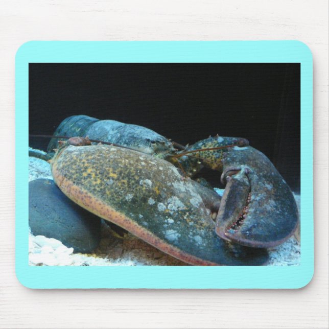 blue lobster mouse mat (Front)