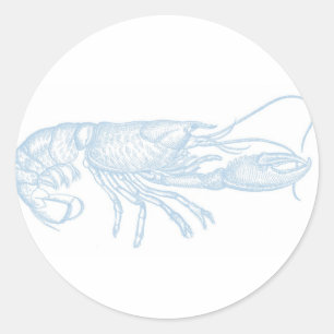 Blue Lobster Sticker