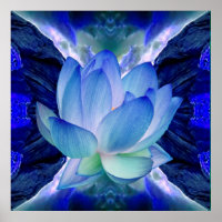 Blue lotus flower