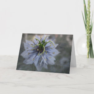 Blue Love in the Myst Greeting Card