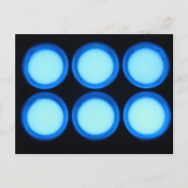 Blue Luminescence Postcard (Front)