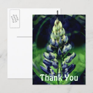 Blue Lupine Abstract Floral Thank You Postcard