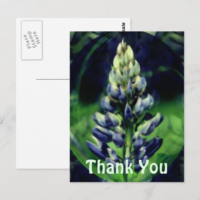 Blue Lupine Abstract Floral Thank You Postcard (Front/Back)