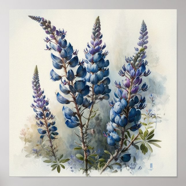 Blue Lupine Flower Art Print Poster (Front)