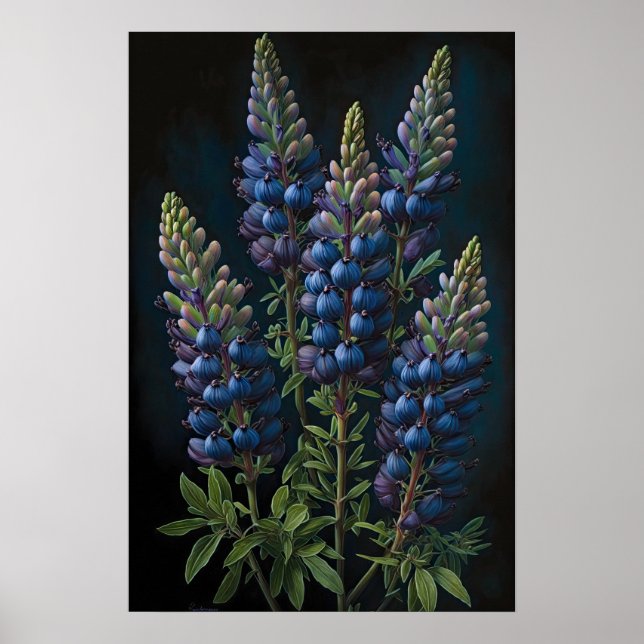 Blue Lupine Flower Art Print Poster (Front)