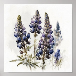 Blue Lupine Flower Art Print Poster