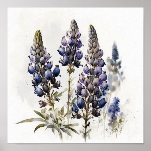Blue Lupine Flower Art Print Poster (Front)