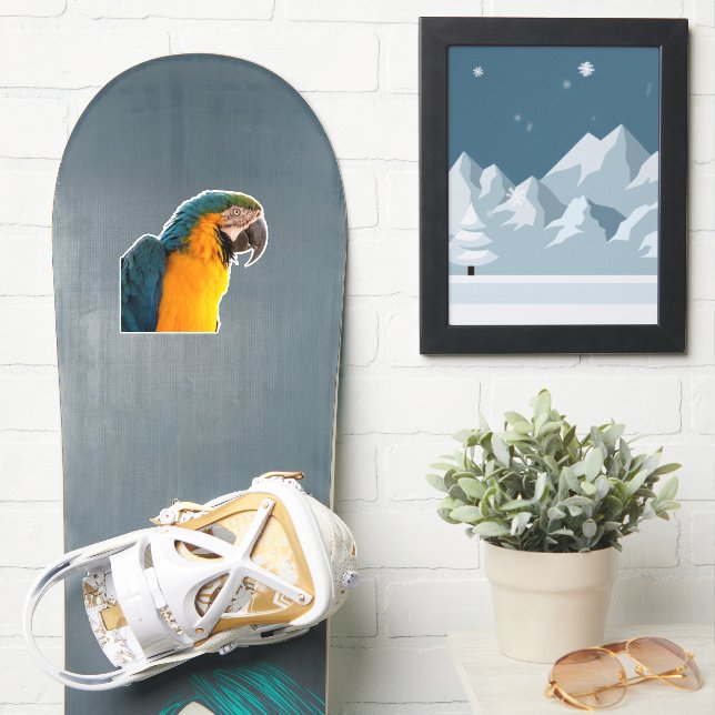 Blue Macaw  (Snowboard)