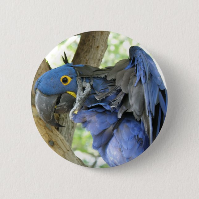 Blue Macaw Button (Front)