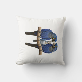 Blue Macaw Cushion