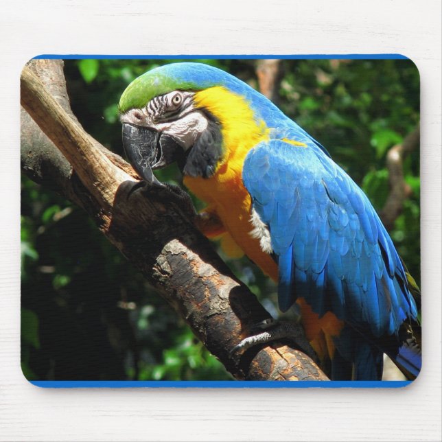 Blue Macaw Mouse Pad (Front)