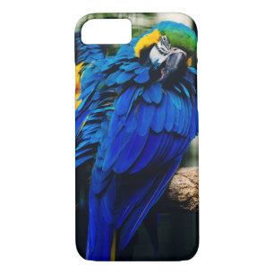 Blue Macaw Parrot, Exotic Tropical Bird iPhone 8/7 Case
