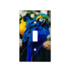 Blue Macaw Parrot, Exotic Tropical Bird