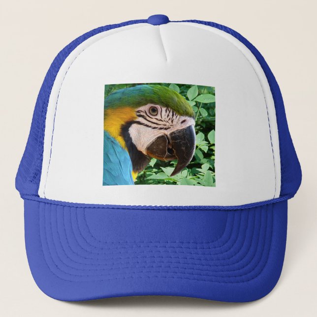 Blue Macaw Parrot Hat (Front)