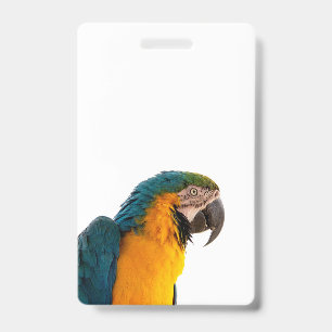 Blue macaw parrot ID badge
