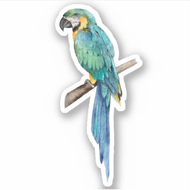 Blue Macaw Parrot Tropical Bird Nature   (Front)