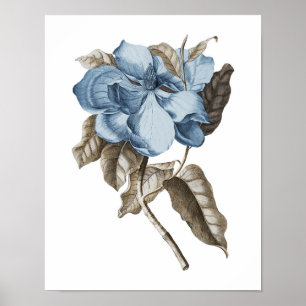 Blue Magnolia Botanical Traditional Wall Decor