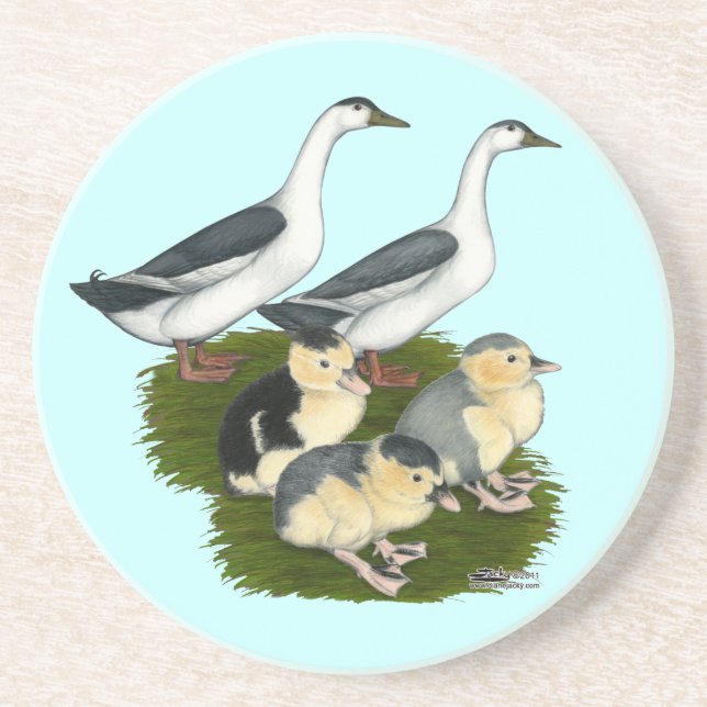 Blue Magpie Duck Family Coaster (Front)
