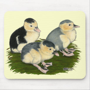 Blue Magpie Ducklings Mouse Mat