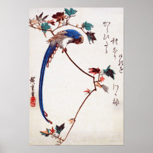 Blue Magpie on Maple Branch by Hiroshige Poster