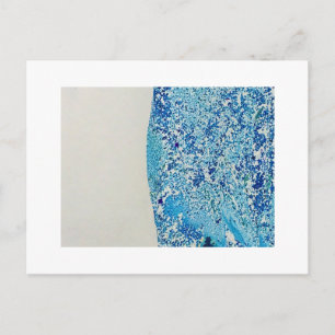 Blue Marble Art Postcard