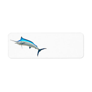 Blue Marlin Game Fish