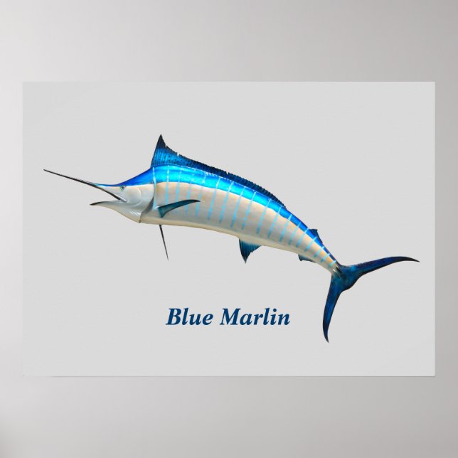 Blue Marlin Poster (Front)