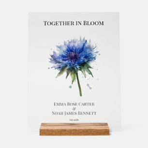Blue Meadow Magic: Watercolor Cornflower Art Acrylic Sign