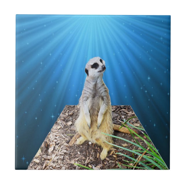 Blue Meerkat Night, Tile (Front)