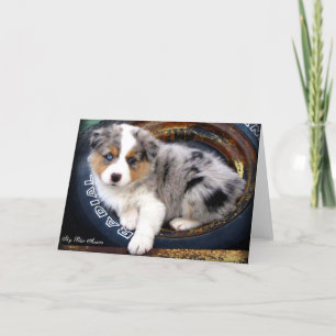 Blue Merle 4 Australian Shepherd Greeting Card
