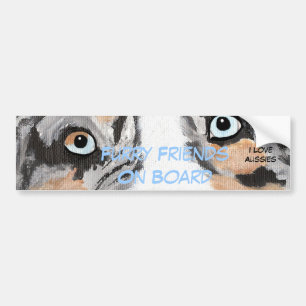 Blue Merle Australian Shepherd Bumper Sticker