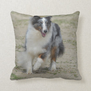 Blue Merle Australian Shepherd Cushion